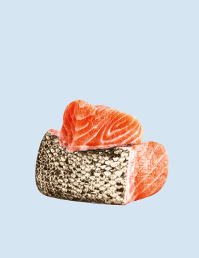 Šviežia mėsa – ingredientas Nr.1!